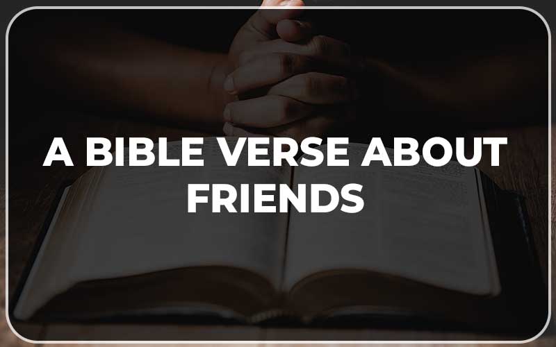 Bible Verse About Friends