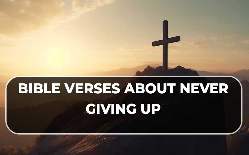 Bible Verses About Never Giving Up