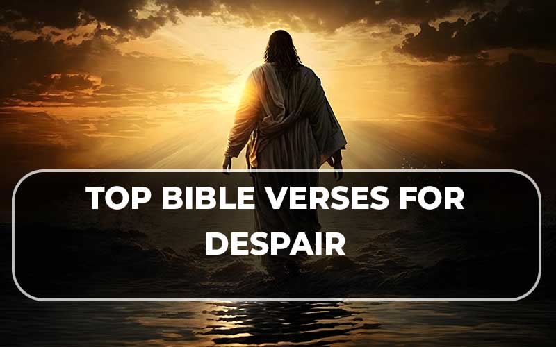 Bible Verses For Despair