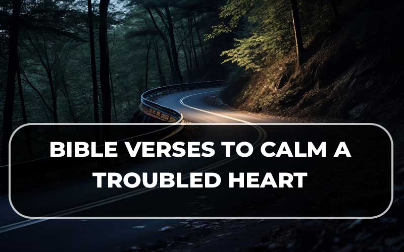 Bible Verses To Calm A Troubled Heart