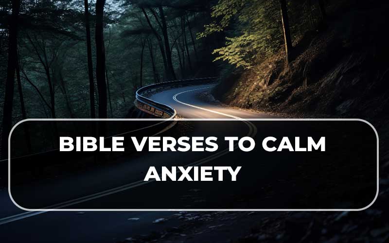 Bible Verses To Calm Anxiety