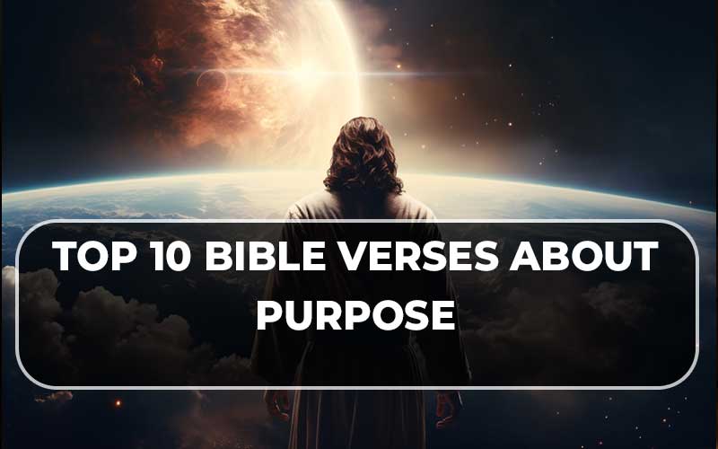 Bible Verses About Purpose