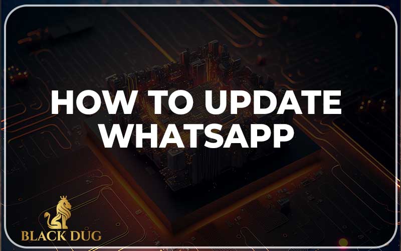 How To Update WhatsApp